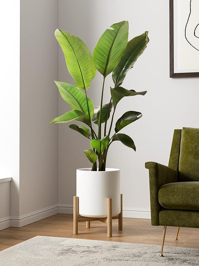 LE TAUCI 12 Inch Pot for Plants, Ceramic Large Planter for Indoor Plants, Mid-Century Modern Flower Pots with Drainage Hole and Removable Plug, White-Ruum Studio Home