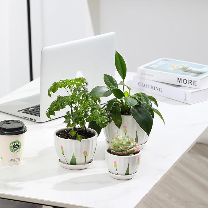 Ceramic Plant Pots with Drainage Holes and Saucers, Round White Flower Pots for Indoor Plant, Diameter 3.3/4.3/5.5 Inches Small Flower Planters Set of 3-Ruum Studio Home