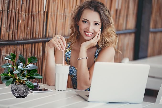 AlphaAcc Artificial Plants Potted Real Looking Small Faux Plant with Rustic Black Cement Planter for Kitchen Office Desk Bookshelf Decor (Ficus Plant)-Ruum Studio Home