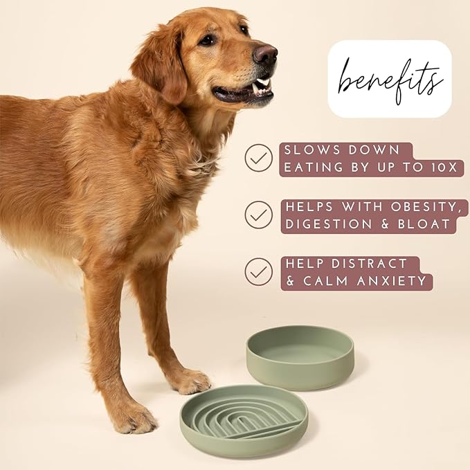 The Slowdown Bowl Silicone Slow Feeder for Dogs & Puppies, Slow Eating, Modern Lick Mat Design, Reduces Gulping, Fits 2.5 Cups 9.5” Across x 1.5” Tall, Mealtime Challenge, Large-Blush-Ruum Studio Home