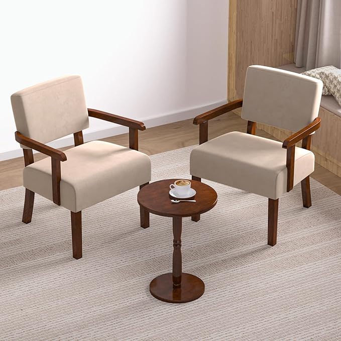 Accent Chair, Cat-Scratch Velvet Living Room Chairs Oversize with Soft Seat and Armrests for Dinning Room Bedroom Reading Room Waiting Room-Ruum Studio Home