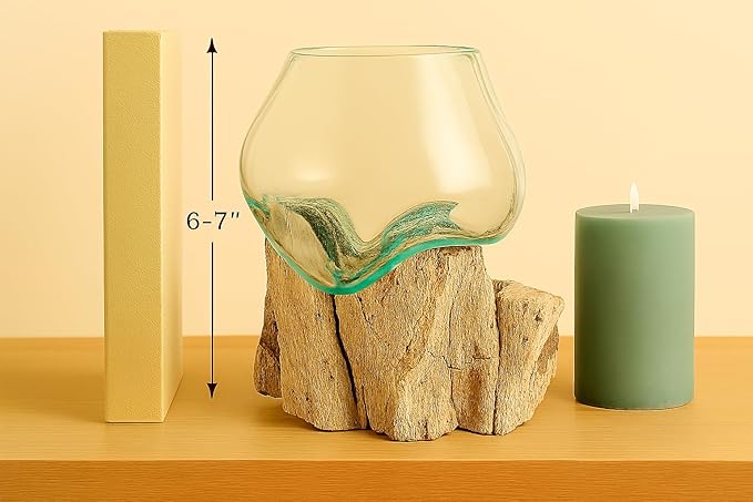 OMA Molten Glass on Driftwood – Hand Blown Vase, Terrarium, or Planter for Coastal & Boho Home Décor Centerpieces (6" - 7" High)-Ruum Studio Home