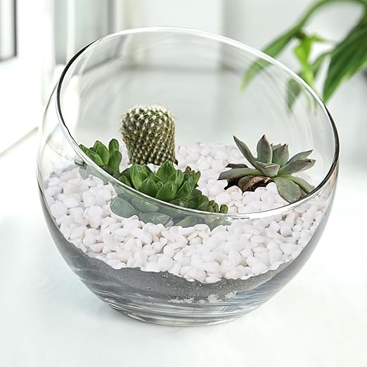 5 lbs White Aquarium Gravel, 1/5 Inch White Rocks for Plants, Small Pebbles for Vases, Succulents, Bamboo, Natural Decorative Pebbles for Plants Drainage, Cactus, Crafts-Ruum Studio Home