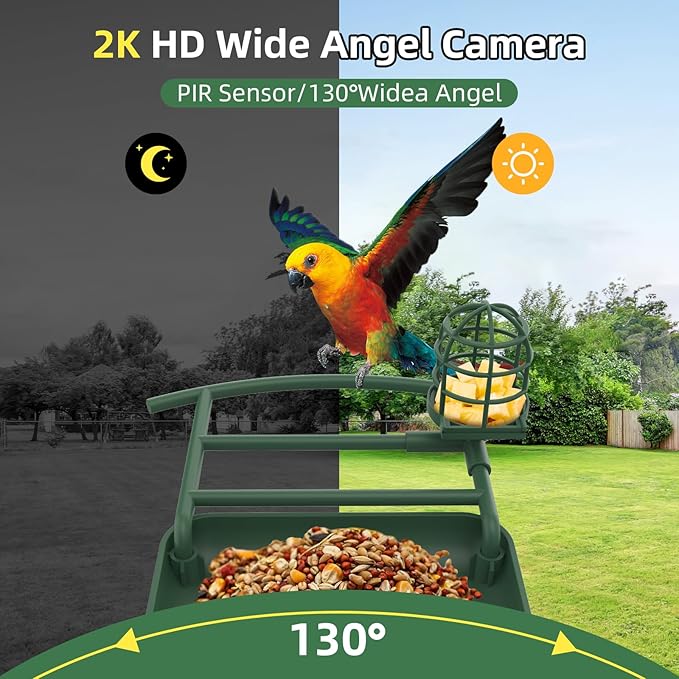 Smart Bird Feeder with Camera, AI Species Identify, Dual Solar Powered Birdfeeder Cam for Outside IP65 with 2.4GHz WiFi, 2K HD Auto Capture Birds Video for Bird Lover (Green)-Ruum Studio Home