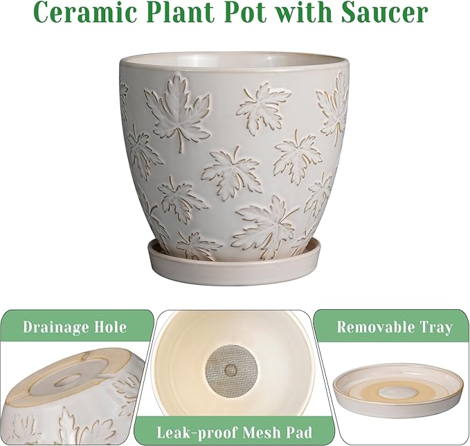 Pots for Plants 10 Inch - Ceramic Planter Large Plant Pot for Indoor Plants Outdoor Round Flower Pot with Drainage Hole and Saucer Home Garden Decor White-Ruum Studio Home