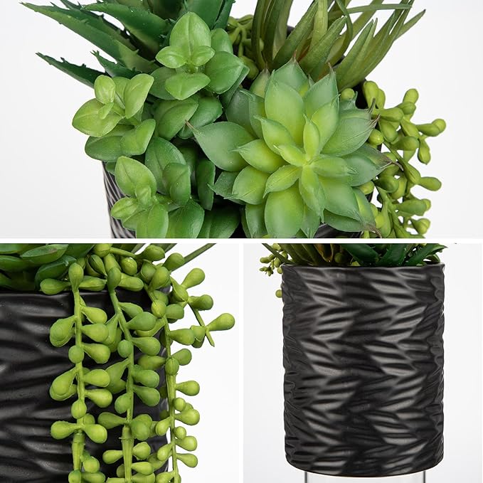 Artificial Succulents in Pots Faux Succulents Plants Fake Succulent Arrangement Potted Plants with Black Ceramic Vase for Office Desk Bathroom Shelf Living Room Indoor Home Decor Large-Ruum Studio Home