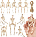 10 Pcs Halloween Mini Skeleton Figurine Decoration,6”Halloween posable Skeleton Decor,Small Plastic Skeleton Figure for Spooky Home Decor Haunted House Decorations Party Favors-Ruum Studio Home