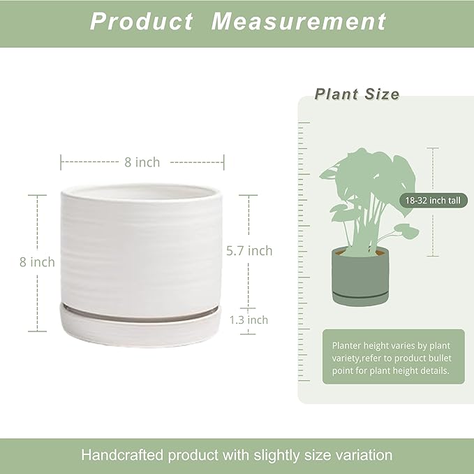 8 Inch Pots for Plants, Ceramic Planter Pot with Drainage Hole & Saucer, Indoor/Outdoor Cylinder Round Planter Pot, Matte White-Ruum Studio Home