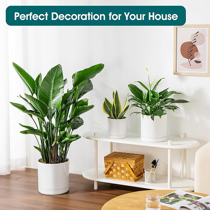 vancasso Ceramic Planters, Plant Pots for Indoor Plants, 6.25+8.25+10.25 Inch Ceramic Pots for Plants, Flower Pots with Drainage Holes, Planters Pot for Indoor House Plant, Set of 3, White-Ruum Studio Home