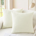 CaliTime Throw Pillow Covers Decorative 22 X 22 Inches Pack of 2 Cozy Chenille Cushion Cases for Couch Sofa Bed Living Room Home Cream-Ruum Studio Home