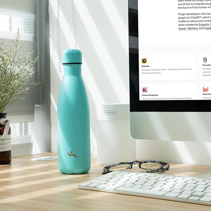 Insulated Water Bottles,25 oz Double Wall Stainless Steel Vacumm Metal Flask for Sports Travel,Turquoise-Ruum Studio Home