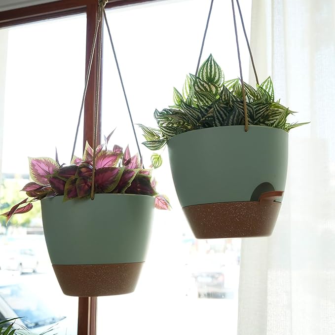 8 inch Hanging Planters, 2 Pack Self Watering Hanging Pots with 20oZ Deep Reservoir for Indoor Outdoor Plants Flowers, Green with Brown-Ruum Studio Home