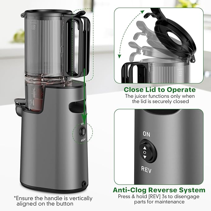 Cold Press Juicer, Juicer Machines with 5.4" Wide Feed Chute for Juice Extractor, Professional Slow Masticating Juicer for Whole Vegetables & Fruits with High Juice Yield, Easy to Clean (Black)-Ruum Studio Home