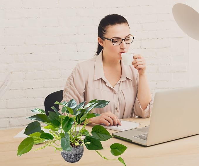 AlphaAcc Artificial Plants Potted Real Looking Small Faux Plant with Rustic Black Cement Planter for Kitchen Office Desk Bookshelf Decor (Ivy Plant)-Ruum Studio Home