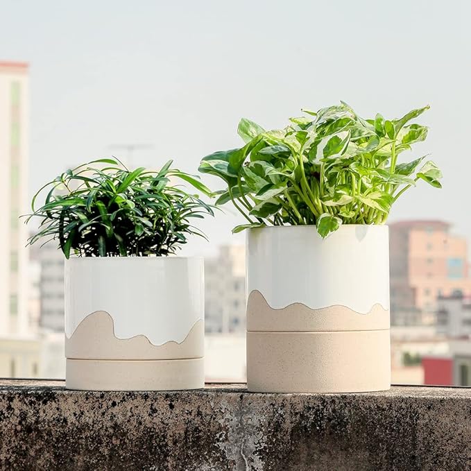 Nihow Self Watering Plant Pot: 6 Inch Ceramic Planter with Drainage Hole & Water Storage Plus for Indoor & Outdoor Plants - Cylinder Round Flower Pot for Succulent/Herbs/Violets - White & Nature-Ruum Studio Home
