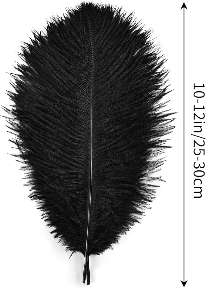 THARAHT Black Ostrich Feathers 12pcs Natural Bulk 10-12Inch 25cm-30cm for Crafts Wedding Party Centerpieces Halloween and Home Decoration Feathers-Ruum Studio Home