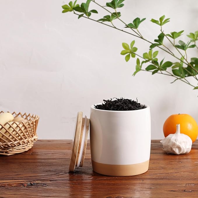 LEETOYI Ceramic Food Storage Jar with Seal Lid,Kitchen Canisters for Countertop, Serving for Ground Coffee, Tea, Sugar, Salt and More, 33 Oz-Ruum Studio Home