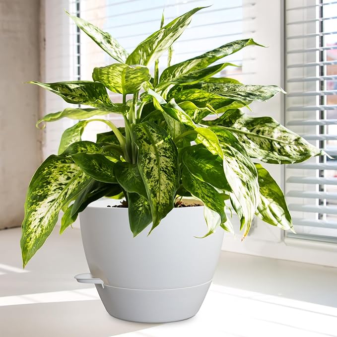 10/9/8 inch Medium Self Watering Pots, Plant Pots with Mesh Drainage Holes for Indoor Outdoor Garden Plants, Flower Pots with Removable Reservoir, Set of 3 Plastic Planters, White-Ruum Studio Home