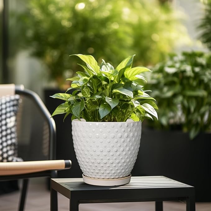 G EPGardening 10 Inch Plant Pot Ceramic Pots for Plants Indoor Outdoor Plant Pots with Drainage Hole and Saucer Round Large Flower Pot for Home Garden Office White-Ruum Studio Home