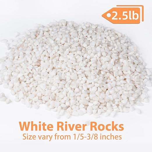 2.5 lbs White Aquarium Gravel, 1/5 Inch White Rocks for Plants, Small Pebbles for Vases, Succulents, Bamboo, Natural Decorative Pebbles for Plants Drainage, Cactus, Crafts-Ruum Studio Home