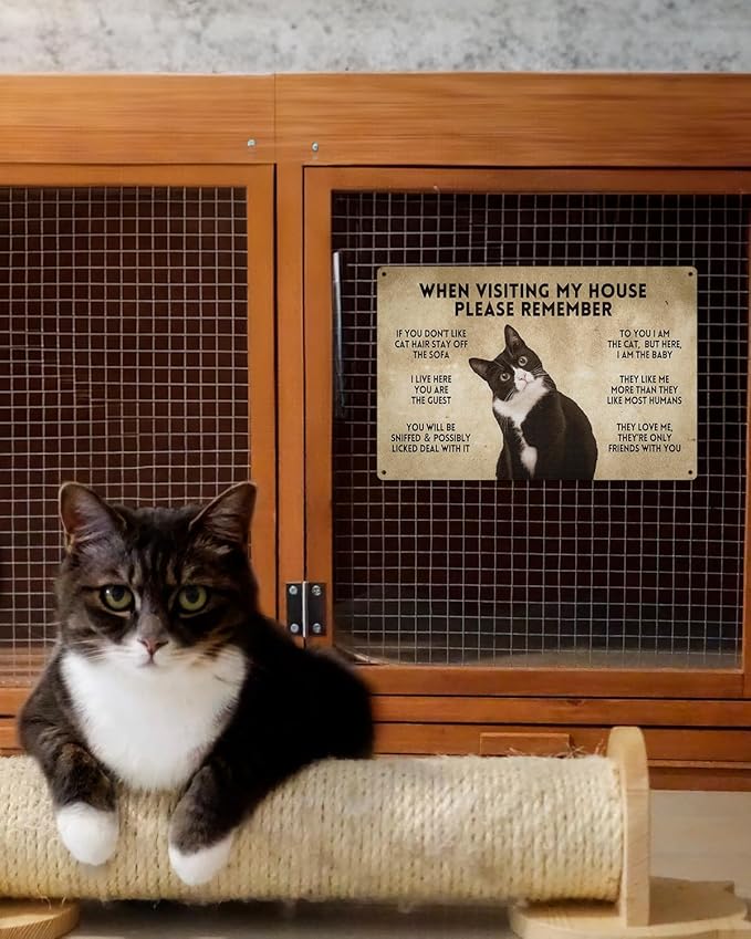 ALKB Funny Tuxedo Cat-Themed Sign 8x12 Inch - Visitor’s Guide to Interacting with Cats - Gift for Cat Lovers’ Home Decor-Ruum Studio Home