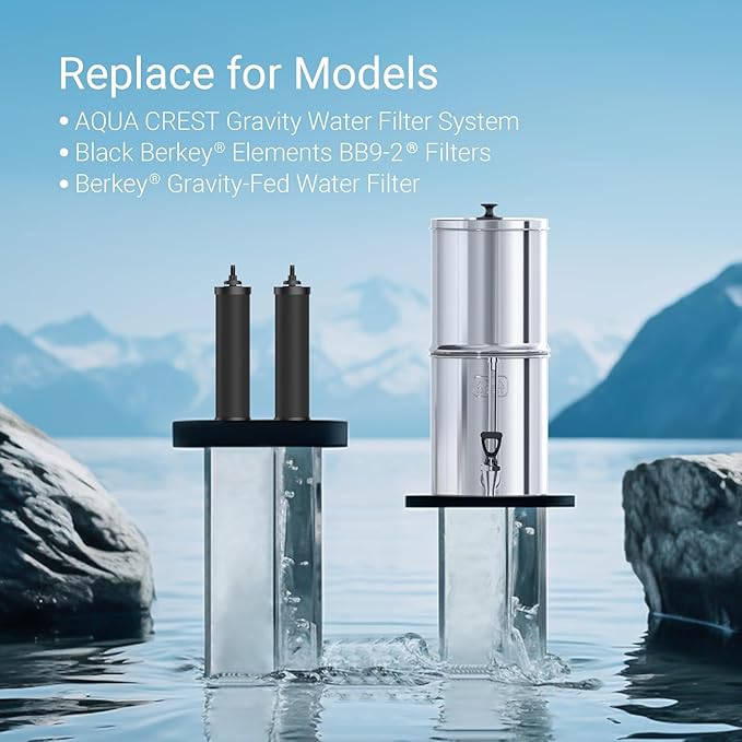 [New Upgraded Ultrafiltration] AQUACREST Black Water Filter, Replacement for Berkey® BB9-2® Black Purification Elements, Berkey® Gravity Water Filter System, 2 Pack-Ruum Studio Home