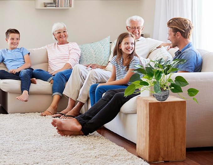 AlphaAcc Artificial Plants Potted Real Looking Small Faux Plant with Rustic Black Cement Planter for Kitchen Office Desk Bookshelf Decor (Ivy Plant)-Ruum Studio Home