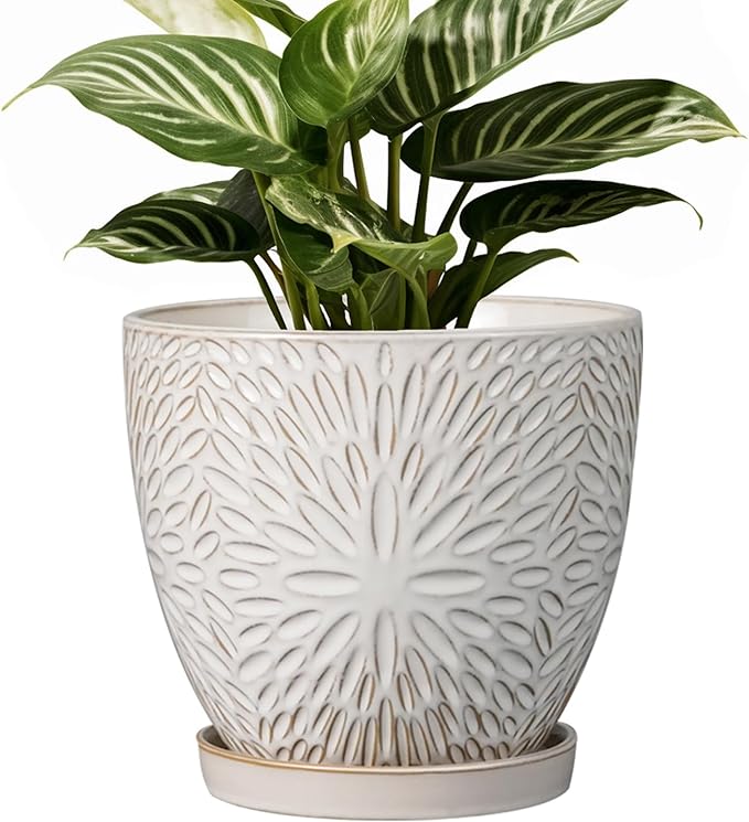 G EPGardening 6 Inch Plant Pot for Indoor Plants Outdoor Round Ceramic Planter Decorative Flower Pot with Drainage Hole and Saucer White-Ruum Studio Home