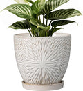 G EPGardening 6 Inch Plant Pot for Indoor Plants Outdoor Round Ceramic Planter Decorative Flower Pot with Drainage Hole and Saucer White-Ruum Studio Home