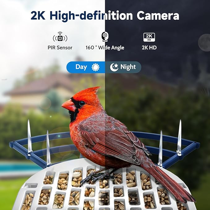 Bird Feeder with Camera Bird Feeders for Outdoors with Solar Panel, AI Identification, Ideal Gift for Lovers Friends and Parents, Navy Blue-Ruum Studio Home