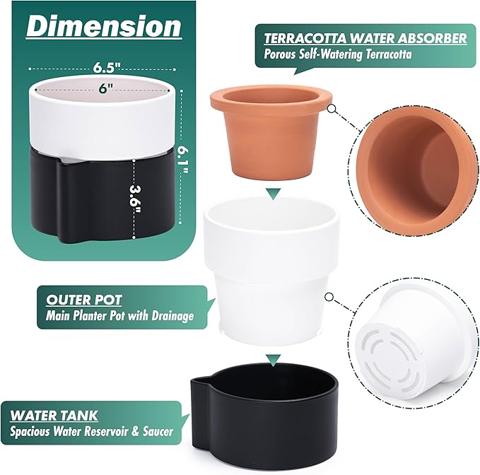 Phoenix Vine 6.5 Inch Self-Watering Planter Pot with Terracotta Insert, Deep Water Reservoir, and Ceramic-Alike BPA-Free Plastic Pot for Plant, Modern Planter for Houseplants, Black/White, 53-C-S-7-Ruum Studio Home