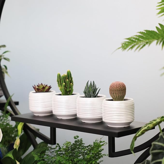 Mini Succulent Planter Set – 3.7 Inch Ceramic Pots with Drainage for Indoor Plants, Small Decorative Flower Pots for Cactus and House Plants, Set of 4-Ruum Studio Home
