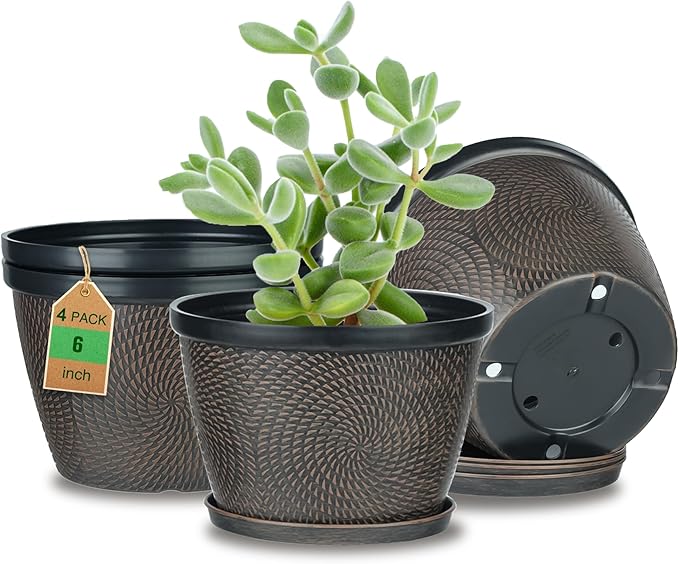 Quarut 4 Pack 6 Inch Flower Pots for Outdoor Indoor, Plastic Plant Pots with Drainage Hole & Saucer, Lightweight Small Flower Pot, Circle Pattern Planters for Garden House planters（Black Copper）-Ruum Studio Home