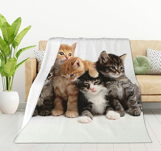 HGOD DESIGNS Cats Throw Blanket Ultra Soft Warm All Season Kittens Family Cats Decorative Fleece Blankets for Bed Chair Car Sofa Couch Bedroom 50"X60"-Ruum Studio Home
