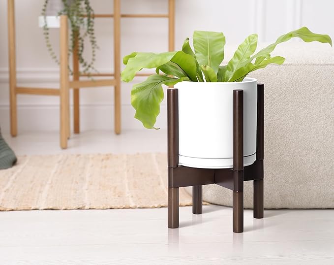 D'vine Dev Ceramic Planter with Walnut Color Stand - 8 Inch Modern Round Flower Pot with Wood Planter Holder, White, 55-B-Y-1-Ruum Studio Home