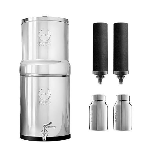2.25 Gallons NSF Certified AISI 304 Stainless Steel Water Filter with 2 Smart Carbon (Black) Filters, 2 POSTreat Steel Fluoride Removal Elements & Free Stainless Steel Spigot-Ruum Studio Home