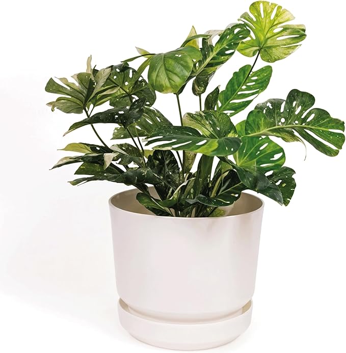 Elly Décor 8 inch Plastic Cylinder Planter Pot with Self-Watering Saucer and Drainage Hole,Lightweight & Extremely Durable, 8"x 8", White-Ruum Studio Home