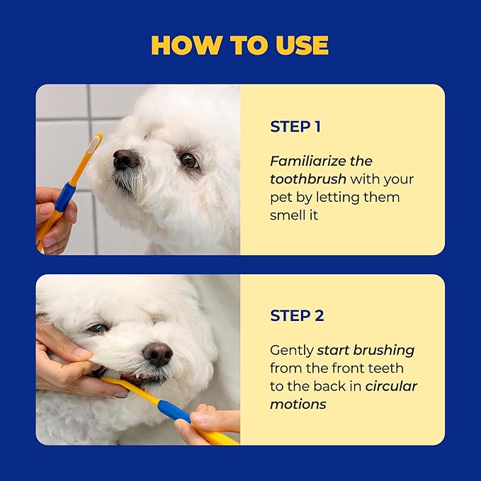 PETHROOM] Pet Toothbrush | Dogs and Cats Teeth Brushing Cleaning Tooth Care | Soft Bristle Cleaning Toothbrush for Dog Puppy Cat, Removing Old Plaque and Tartar (Medium)-Ruum Studio Home