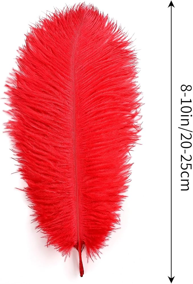 THARAHT Red Ostrich Feathers 12pcs Natural Bulk 8-10Inch 20cm-25cm for Crafts Wedding Party Centerpieces Flower Arrangement Halloween and Home Decoration Feathers-Ruum Studio Home