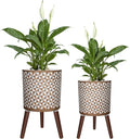 10 & 12 Inches Plant Pot with Stand, Large Modern Standing Planters for Indoor Outdoor Plants with Drainage Holes, Big Gold Floral Embossed Flower Pots with Legs-Ruum Studio Home