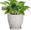 6 Inch Ceramic Plant Pot for Indoor Plants Outdoor Round Planter Flower Pot with Drainage Hole and Saucer for Home Garden Office Decor White-Ruum Studio Home