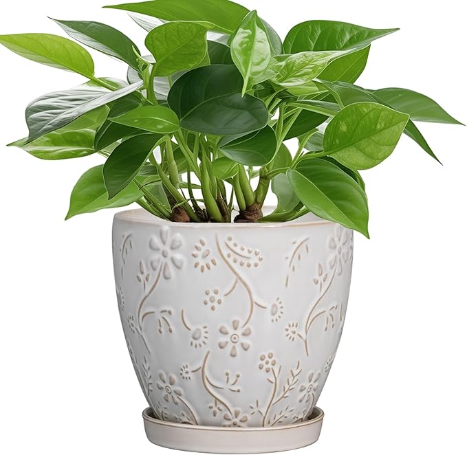 6 Inch Ceramic Plant Pot for Indoor Plants Outdoor Round Planter Flower Pot with Drainage Hole and Saucer for Home Garden Office Decor White-Ruum Studio Home