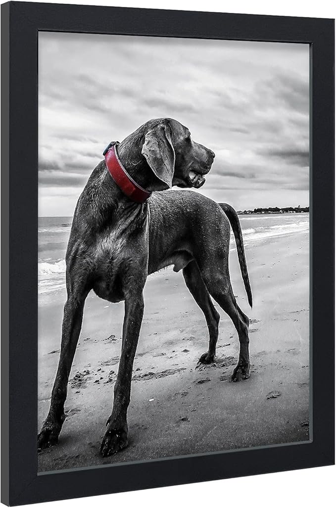 VCK 18x24 Poster Frames 3 Pack Black MDF Wood and Polished Plexiglass Frame,Display Pictures in Horizontal and Vertical-Ruum Studio Home
