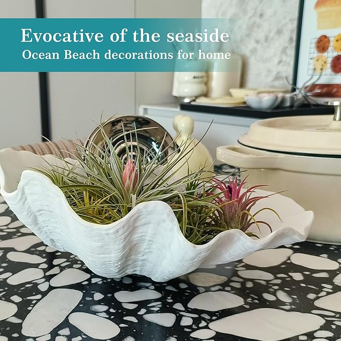 Accessoryway Large White Sea Shells Decorative Bowl Resin Clam Shell Bowl Beach Decorations for Home Coastal Beach Decor Decoration Storage Bowls & Home Office Nautical Themed Party Decor -10.2"-1PC-Ruum Studio Home