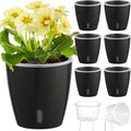 Self Watering Pots for Indoor Plants, 6-Pack 5'' Self Watering Planter with Drainage Holes, Small African Violet Pots with Water Indicator, Clear Wick Orchid Pot, Black-Ruum Studio Home