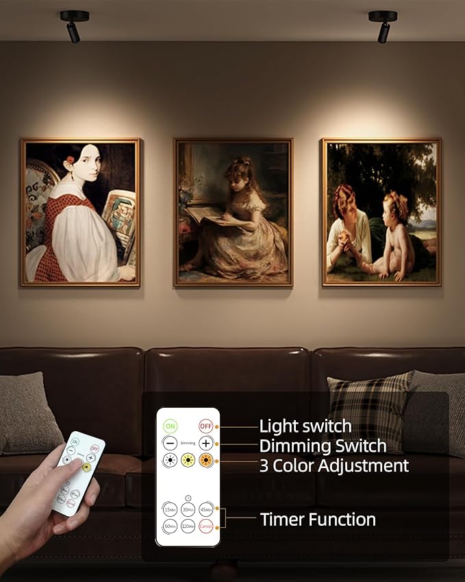 EZVALO Wireless LED Spotlights Indoor, 5500mAh Rechargeable Battery Powered Plants Spotlights Indoor, Dimmable & Timer, 3 CCT Small Up Lights with Remote, Accent Uplighting for Artwork,Tree(Black)-Ruum Studio Home