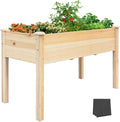 BSP Raised Garden Bed with Legs Outdoor Elevated Planter Box Flower Bed Wood Planter for Vegetable Herb Upgraded Solid Structure Growing Box Suitable for Backyard Patio and Balcony, 48”L X 24”W-Ruum Studio Home