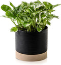 Nihow Ceramic Plant Pot: 6 Inch Planter with Drainage Hole & Saucer for Indoor & Outdoor Plants - Cylinder Round Flower Pot for Succulent/Herbs/Violets - Black & Brown-Ruum Studio Home