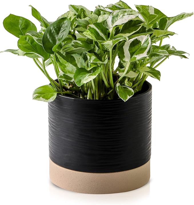 Nihow Ceramic Plant Pot: 6 Inch Planter with Drainage Hole & Saucer for Indoor & Outdoor Plants - Cylinder Round Flower Pot for Succulent/Herbs/Violets - Black & Brown-Ruum Studio Home