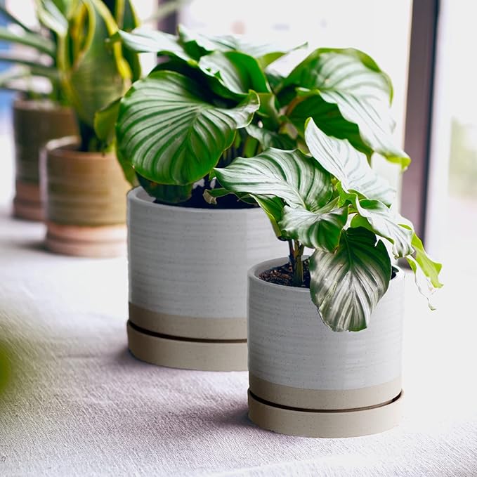 6 + 8 Inch Plant Pots, Ceramic Planter Pot with Drainage Hole & Saucer, Indoor/Outdoor Cylinder Round Planter Pot, Cream & Beige-Ruum Studio Home